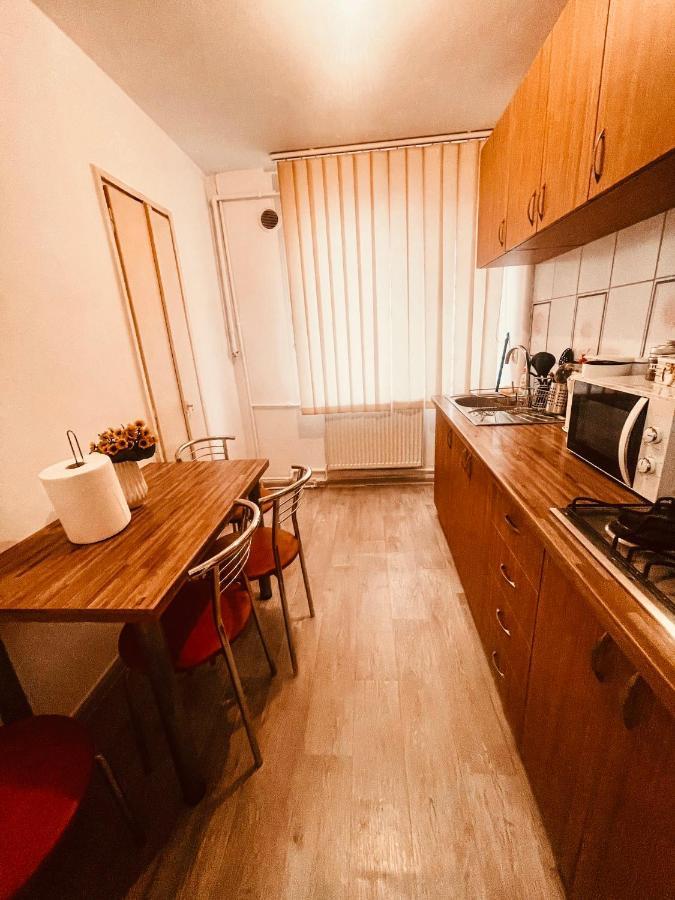 Ultracentral Big Apartment - Near The Opera Square P17 Timisoara Exterior photo