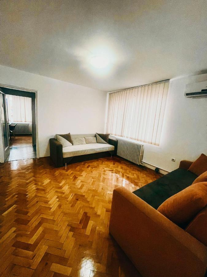Ultracentral Big Apartment - Near The Opera Square P17 Timisoara Exterior photo
