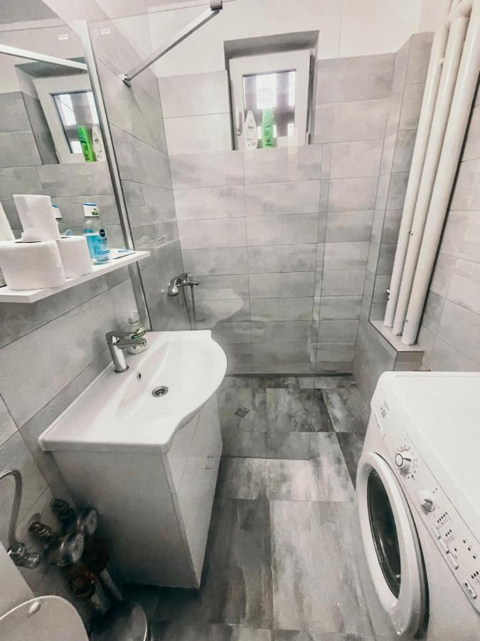 Ultracentral Big Apartment - Near The Opera Square P17 Timisoara Exterior photo
