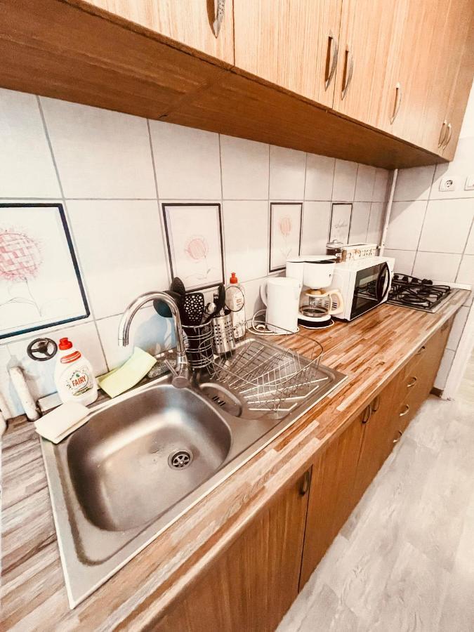 Ultracentral Big Apartment - Near The Opera Square P17 Timisoara Exterior photo