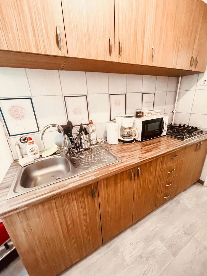 Ultracentral Big Apartment - Near The Opera Square P17 Timisoara Exterior photo