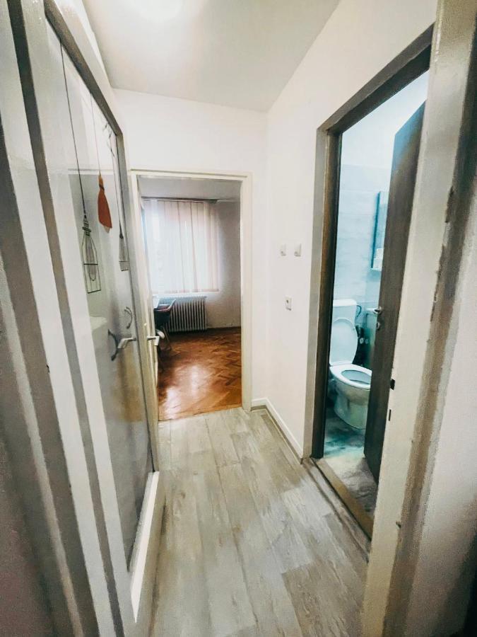 Ultracentral Big Apartment - Near The Opera Square P17 Timisoara Exterior photo